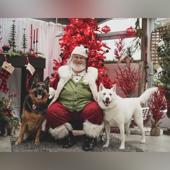 Meet your Posher, Deanna - Picture 9 of 16